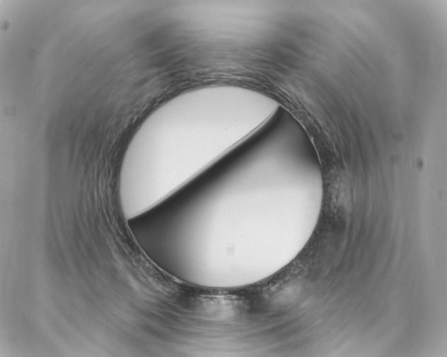 X0000087030316200704161407