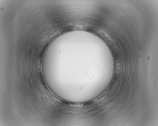 X0000087030318200704161407