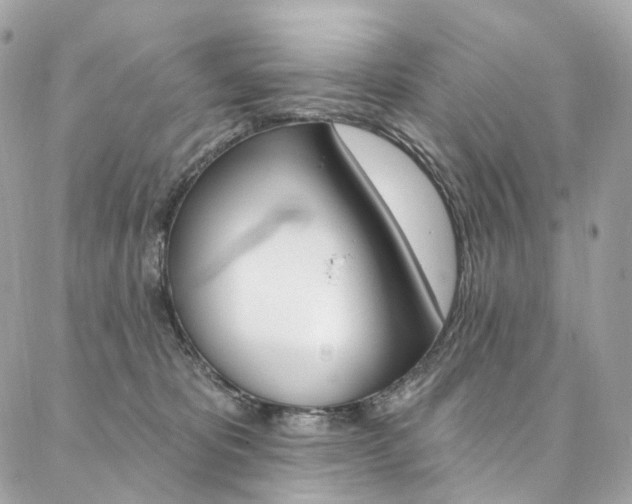 X0000087030325200704161407