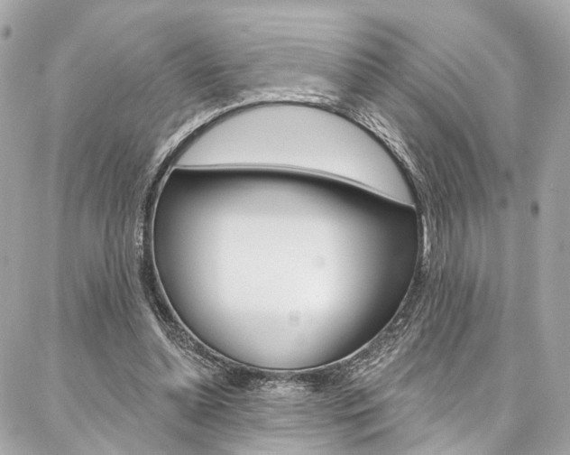 X0000087030348200704161406