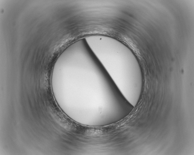 X0000087030354200704161406