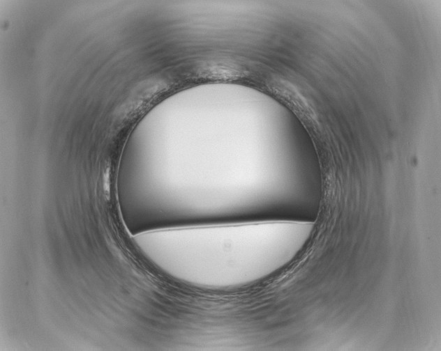 X0000087030358200704161406