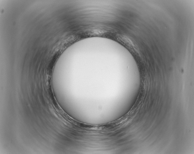 X0000087030366200704161406