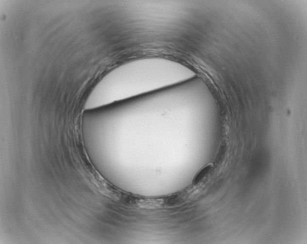 X0000087030373200704161407