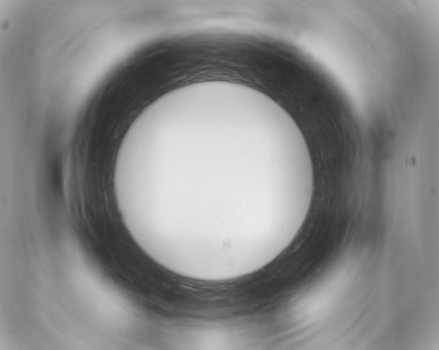 X0000087030382200704161407
