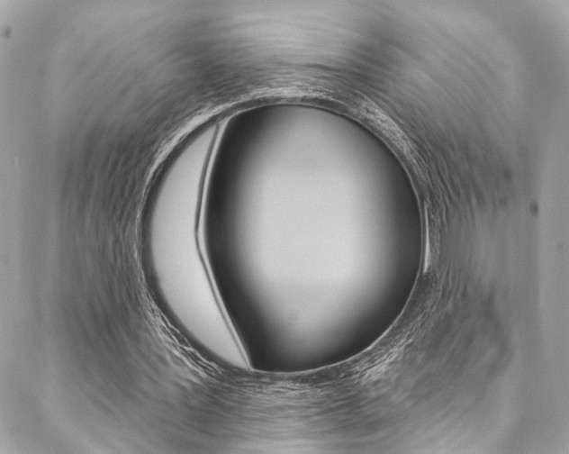 X0000087030387200704161406