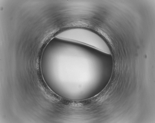 X0000087030403200704161406