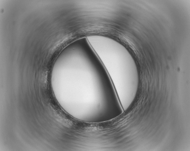 X0000087030404200704161406