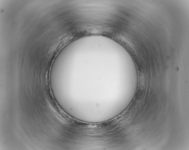 X0000087030406200704161406