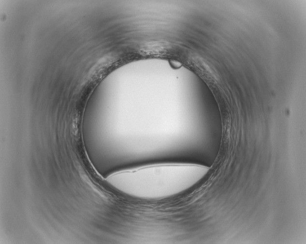 X0000087030408200704161406