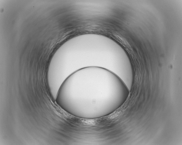 X0000087030409200704161406