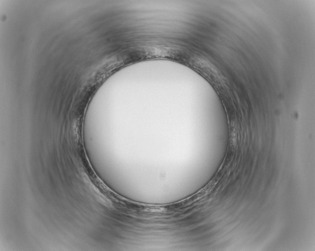 X0000087030410200704161406