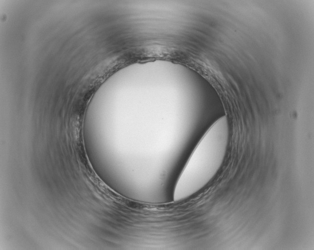 X0000087030413200704161405