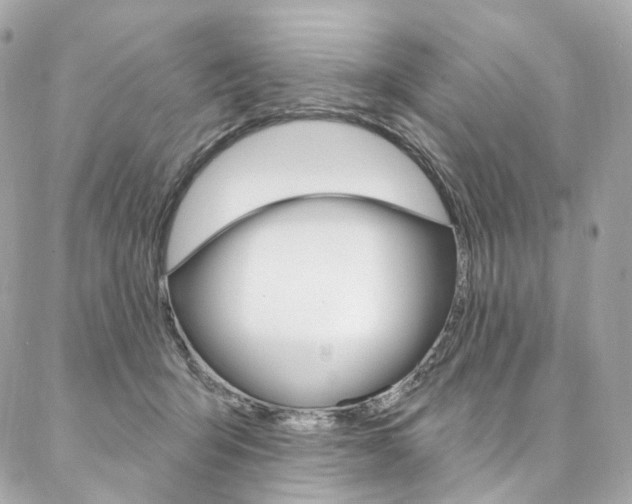 X0000087030415200704161405