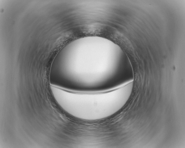 X0000087030416200704161405