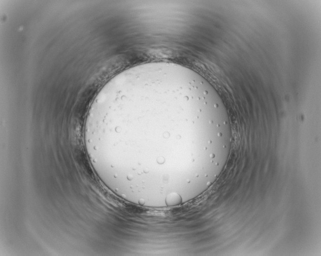 X0000087030418200704161405