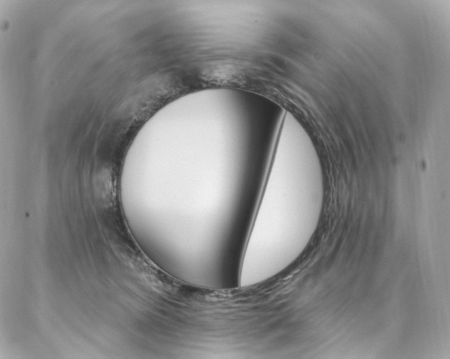 X0000087030420200704161405