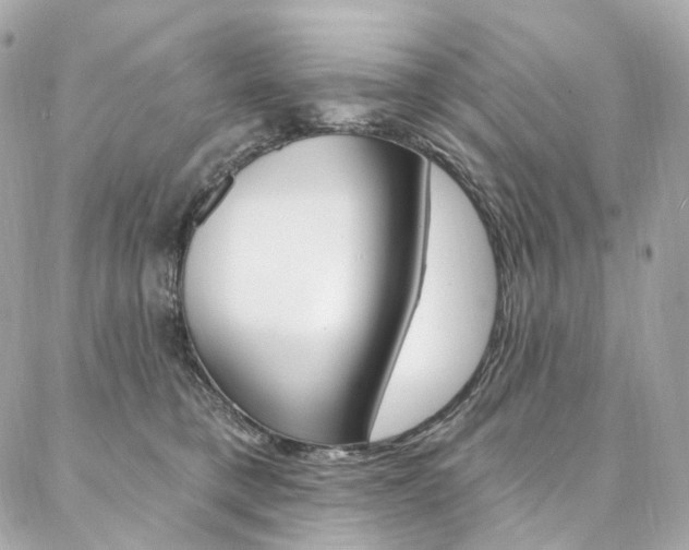 X0000087030421200704161405