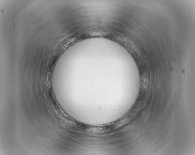 X0000087030422200704161405