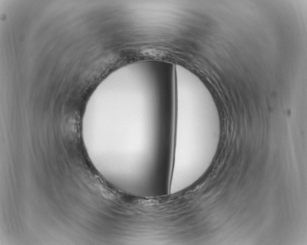 X0000087030424200704161405
