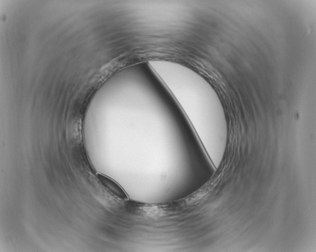 X0000087030425200704161405