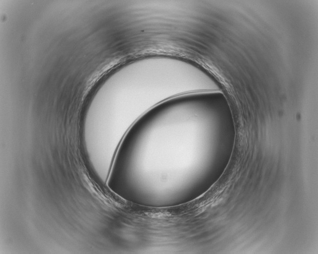 X0000087030446200704161405