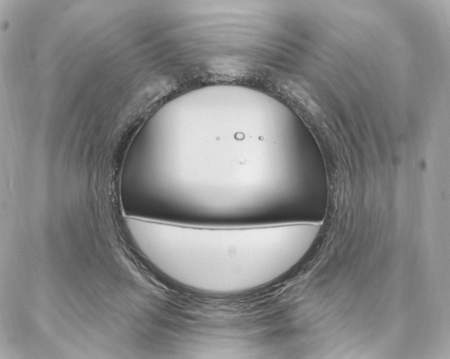 X0000087030455200704161405