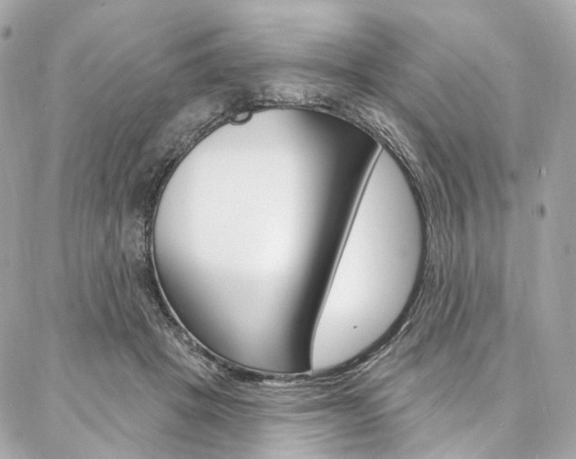 X0000087030457200704161405