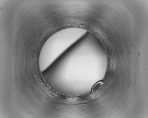X0000087030461200704161405