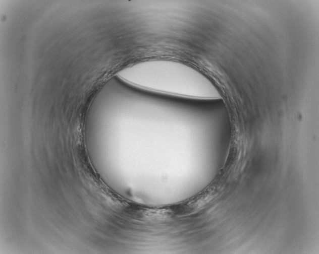 X0000087030465200704161405