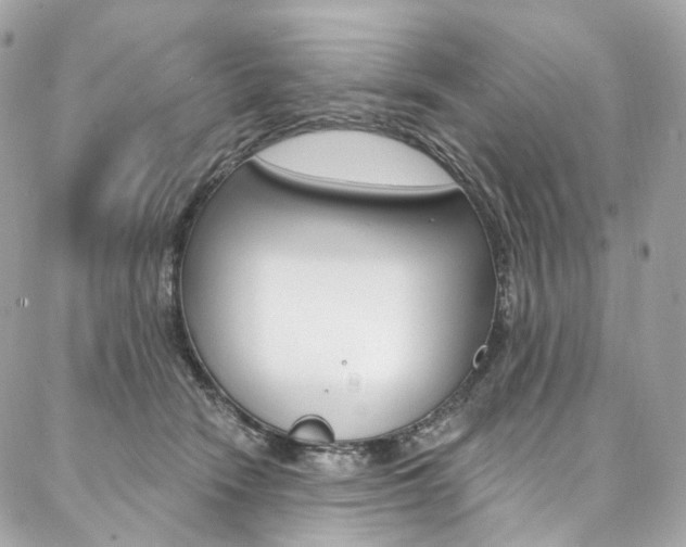 X0000087030466200704161405