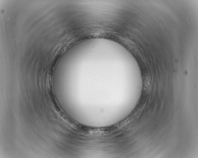 X0000087030470200704161405