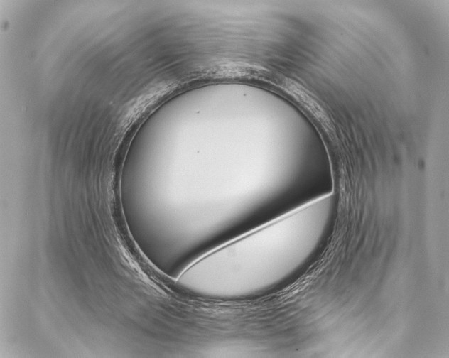 X0000087030485200704161404