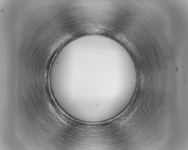 X0000087030490200704161404