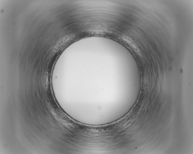 X0000087030494200704161404