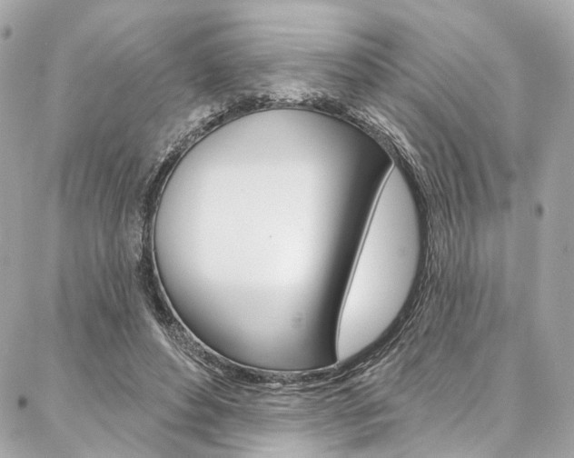 X0000087030496200704161404