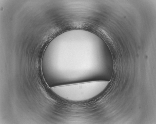 X0000087030500200704161404