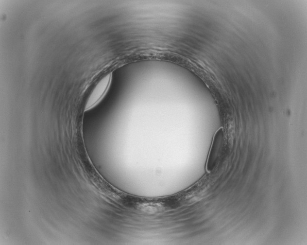 X0000087030508200704161404