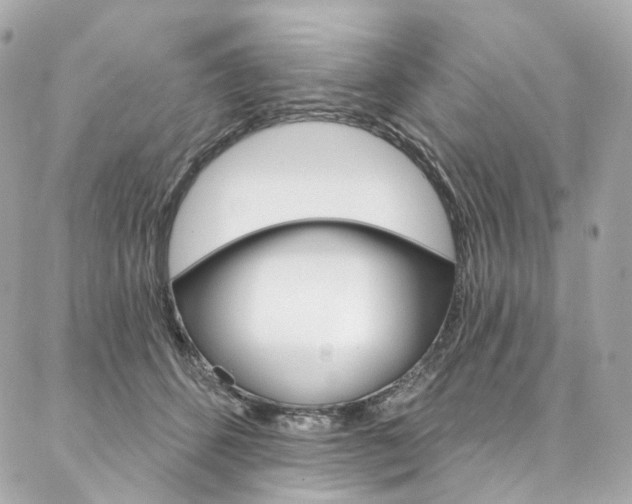 X0000087030512200704161404