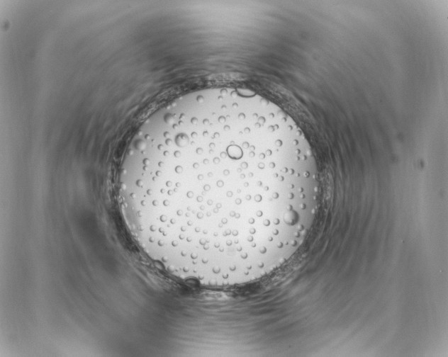 X0000087030519200704161404