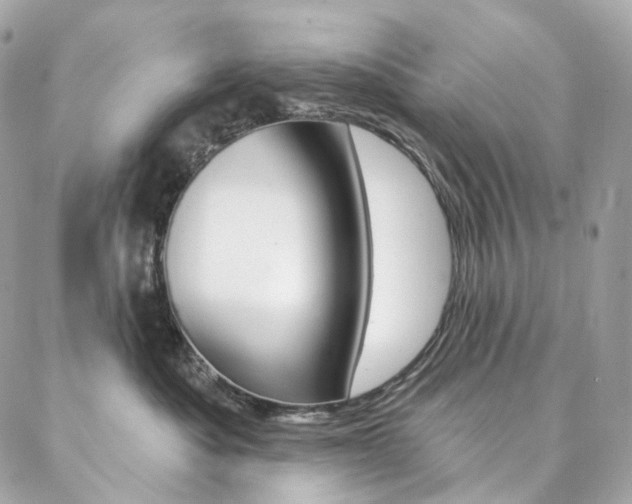 X0000087030525200704161404