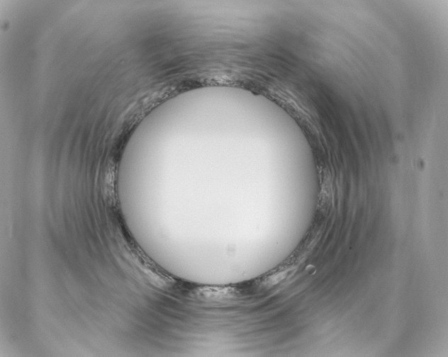 X0000087030526200704161404