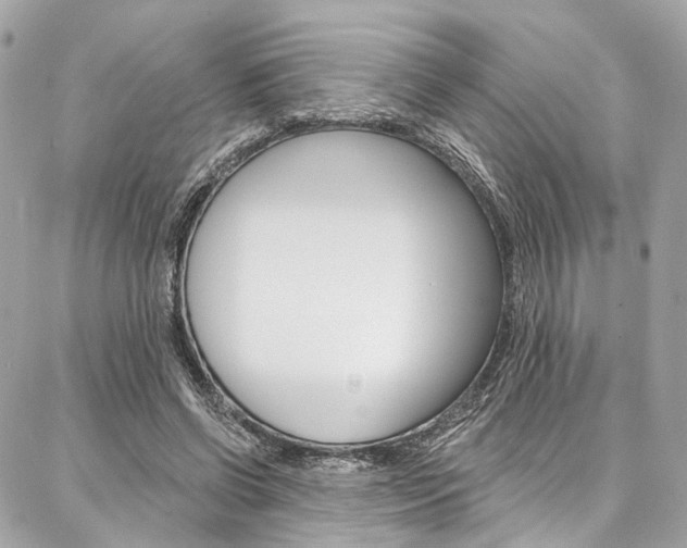 X0000087030542200704161403