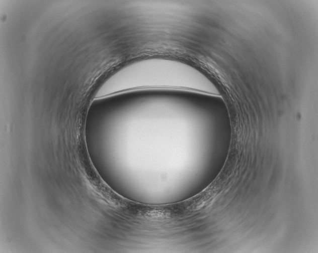 X0000087030546200704161403