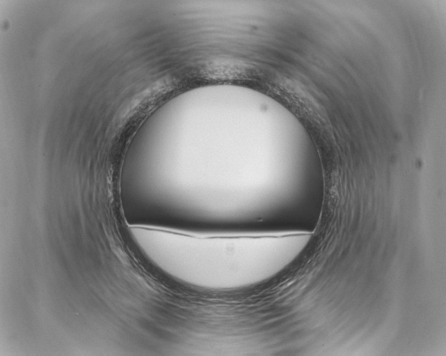 X0000087030547200704161403