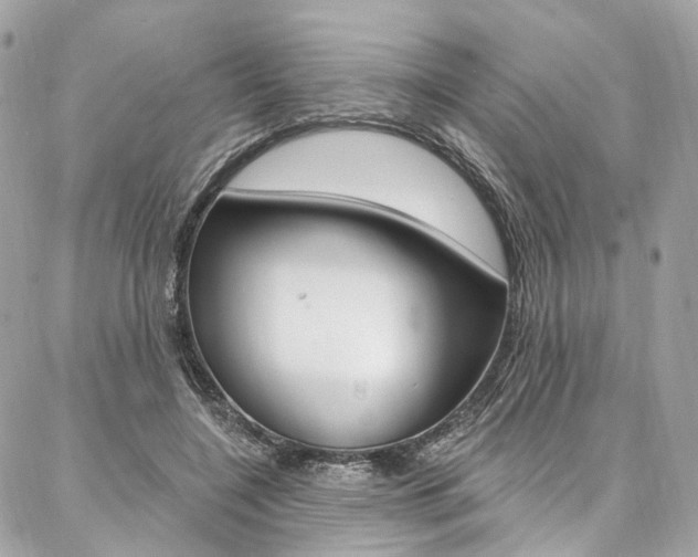 X0000087030548200704161403