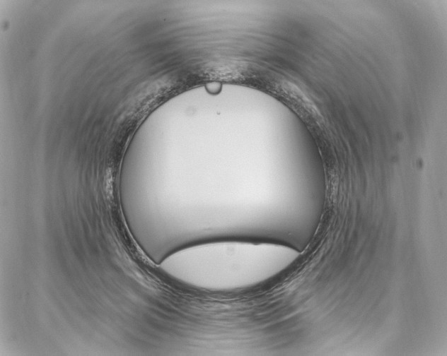 X0000087030549200704161403