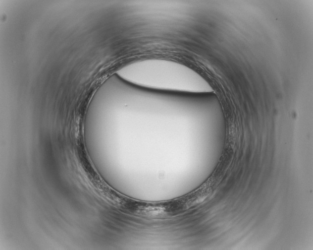 X0000087030554200704161403