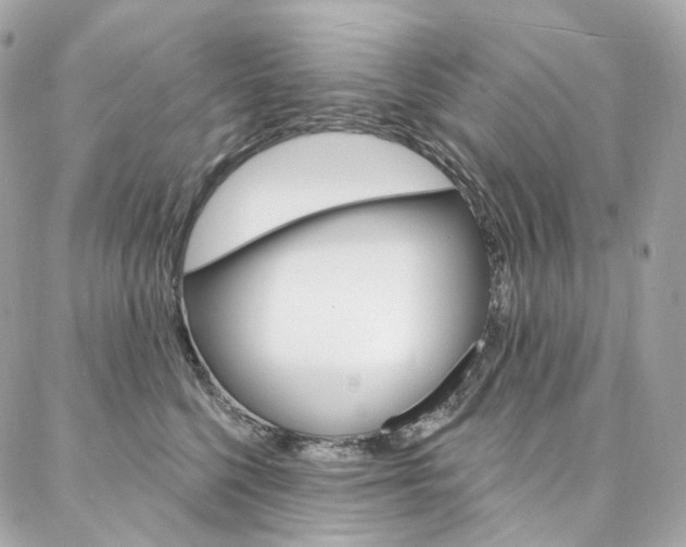 X0000087030568200704161403