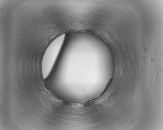 X0000087030576200704161404